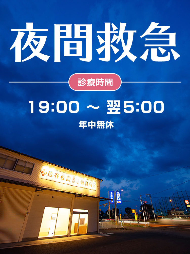 熊谷夜間救急動物病院 埼玉 栃木 群馬 茨城からもアクセス良好