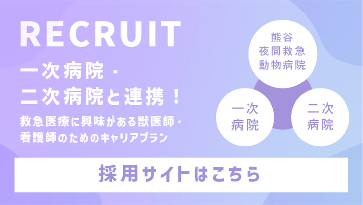 採用サイトはこちら
